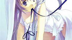 Anime girls nekomimi