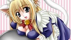 Anime girls nekomimi