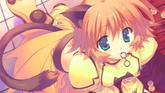 Anime girls nekomimi