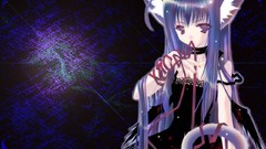 Anime girls nekomimi animal ears