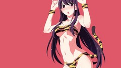 Anime girls nekomimi animal ears Simple Background