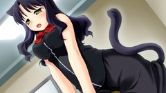 Anime girls nekomimi animal ears tails