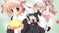 Anime girls nekomimi animal ears tails thigh highs bloomers