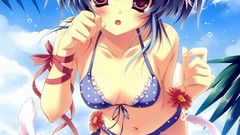 Anime girls nekomimi animal ears thigh highs