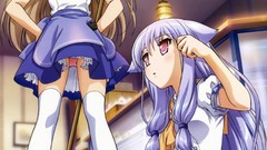 Anime girls nekomimi mayoi neko overrun serizawa fumino kiriya 