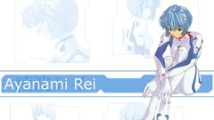 Anime girls neon genesis evangelion ayanami rei