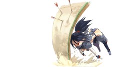 Anime girls ninjas shield