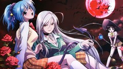 Anime girls rosario to vampire akashiya moka Kurono Kurumu 