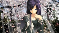 anime girls school uniform schoolgirl cherry blossom
