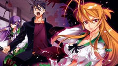 Anime girls school uniforms highschool of the dead busujima 