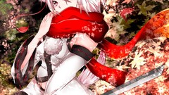 Anime girls touhou animal ears inubashiri momiji video games