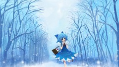 Anime girls touhou cirno