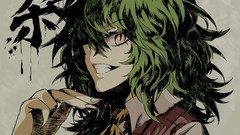 Anime girls touhou kazami yuuka video games