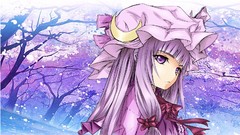 Anime girls touhou patchouli knowledge video games
