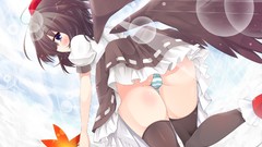 Anime girls touhou shameimaru aya video games