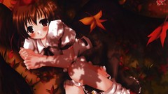 Anime girls touhou shameimaru aya video games