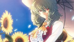 Anime girls touhou video games