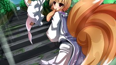 Anime girls touhou yakumo ran video games