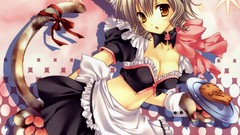 Anime girls waitress aquarian age nekomimi animal ears cleavage 