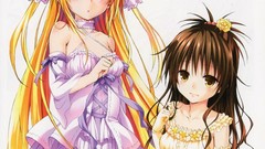 Anime girls yuuki mikan to-love-ru golden darkness wedding 