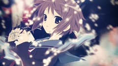 Anime glasses anime girls brunettes nagato yuki black eyes the 