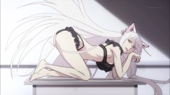 Anime hanekawa tsubasa Nekomonogatari