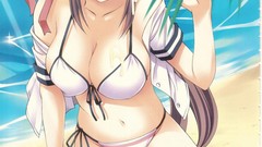 Anime ice cream Beaches bikini kneeling