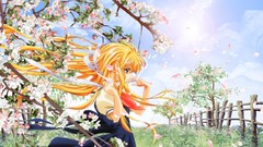 Anime kamio misuzu Air (anime)