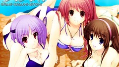 Anime kasumi bikini Dead Or Alive Hitomi Ayane
