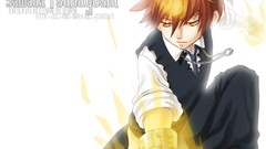 Anime katekyo hitman reborn Tsuna Sawada Tsunayoshi