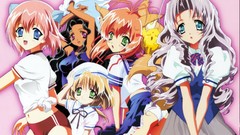 Anime ken seifuku animal ears yami to boushi to hon no tabibito 