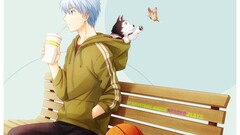 Anime kuroko no basket anime boys bench blue hair Animals balls