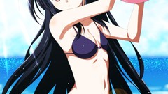Anime long hair accel world bikini kuro yuki hime swimsuits