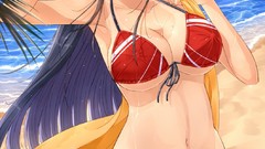 Anime long hair anime girls