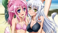 Anime long hair anime girls bra animal ears dog days 