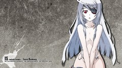 Anime long hair anime girls infinite stratos gray hair eyepatch 