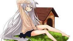 Anime long hair barefoot anime girls wink gray hair animal ears 