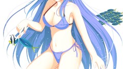 Anime long hair cleavage bikini swimsuits