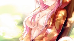 Anime long hair nekomimi animal ears ecchi cleavage panties 