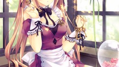 Anime long hair short hair bare shoulders ecchi