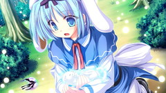 Anime magus tale visual