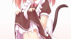 Anime maids short hair nekomimi animal ears panties thigh highs 