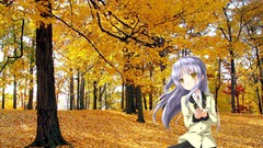 Anime Manga anime girls angel beats tachibana kanade