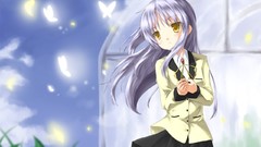 Anime Manga anime girls angel beats tachibana kanade