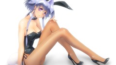 Anime Manga anime girls animal ears artwork