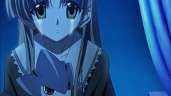 Anime Manga anime girls highschool dxd