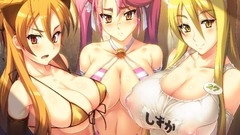 Anime Manga anime girls highschool of the dead boobs huge boobs