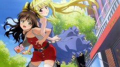 Anime Manga anime girls to-love-ru