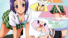 Anime Manga anime girls to-love-ru