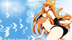 Anime Manga Beaches ecchi bikini Asobi ni Iku yo! Eris